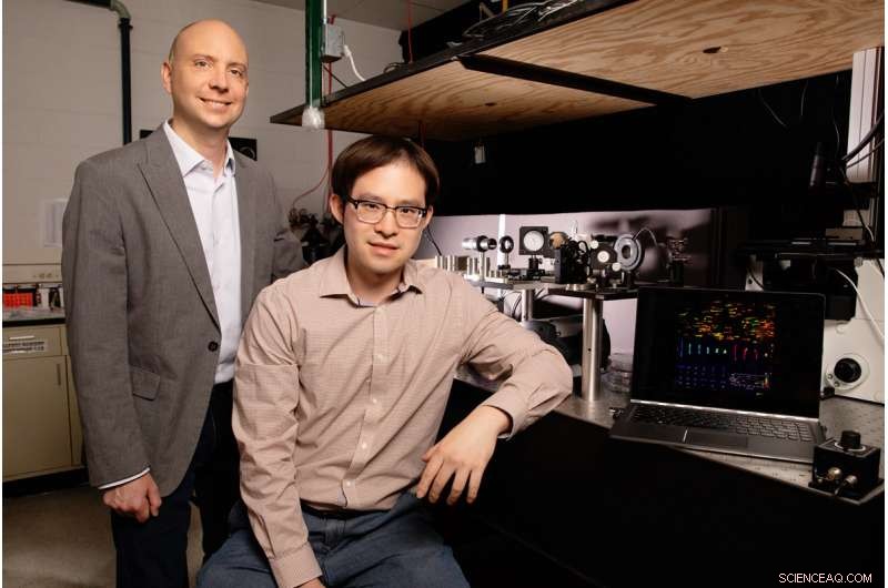 New Study Uncovers Polymer Relaxation Dynamics After Stressful Processing