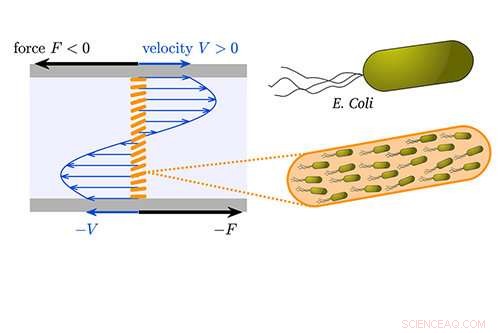 How Swimming Bacteria Collaborate to Create Negative Viscosity Flows