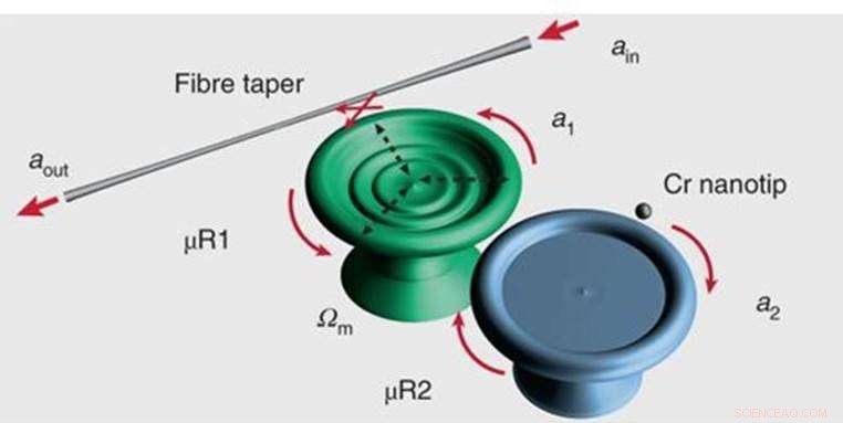 Phonon Laser Operating at an Exceptional Point: Advanced Resonator Dynamics