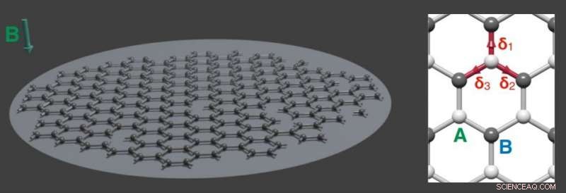 Graphene Flake Mimics Black Hole Hologram: A Quantum Simulation