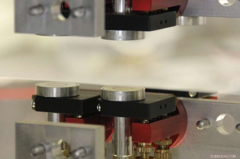 Physicists Report No Evidence of Symmetron Fields in Latest Ultra-Cold Neutron Experiment