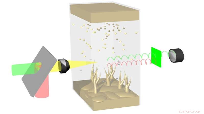 Scientists Capture Real‑Time Ion Motion in Liquid Electrolytes with Stimulated Raman Scattering Microscopy