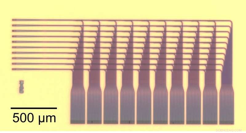NIST Unveils Optical Neural Network Chip: Advanced Light Routing Demonstrated