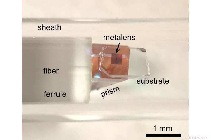 Revolutionary Nano-Optic Endoscope Delivers Ultra-High-Resolution Imaging Deep Inside Tissues