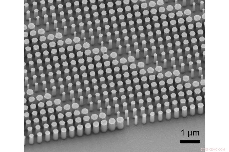 Revolutionary Nano-Optic Endoscope Delivers Ultra-High-Resolution Imaging Deep Inside Tissues