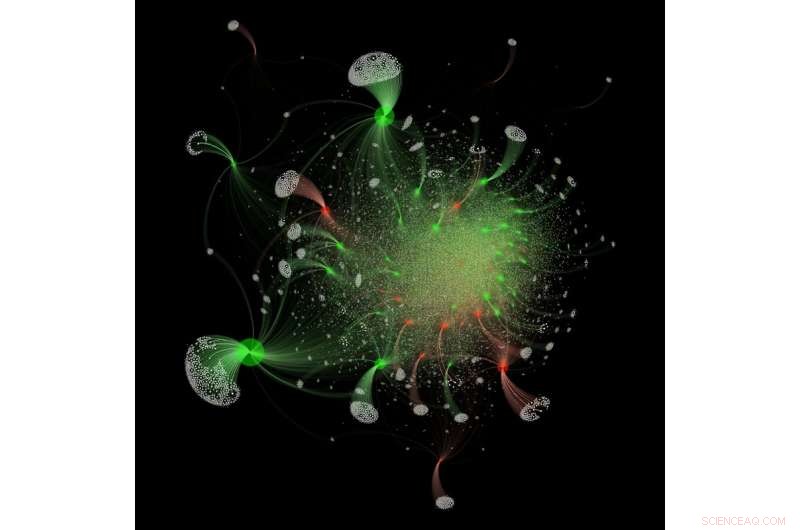 Applying Gel Physics to Decipher the Formation of Terrorist Organizations