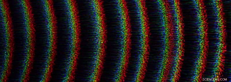 ISS Scientists Probe Dust Particle Dynamics in Microgravity Plasmas