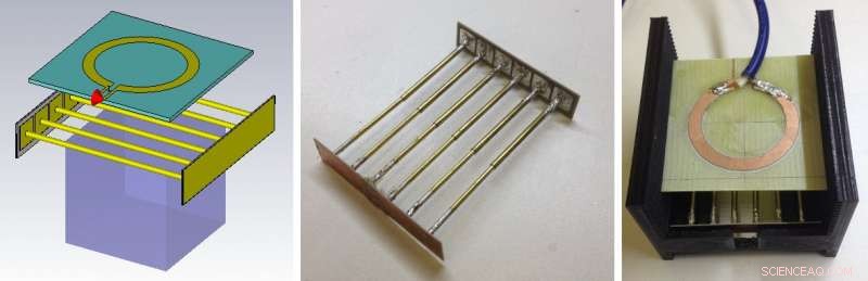 Innovative MRI Coil Enables High-Resolution Whole-Mouse Imaging