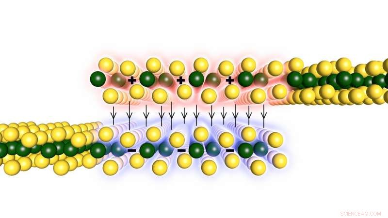 UW Scientists Discover Surprising Phenomena in 2‑D Tungsten Ditelluride