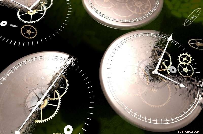 Light Variability and Biological Clocks: Unveiling Distinct Circadian Responses