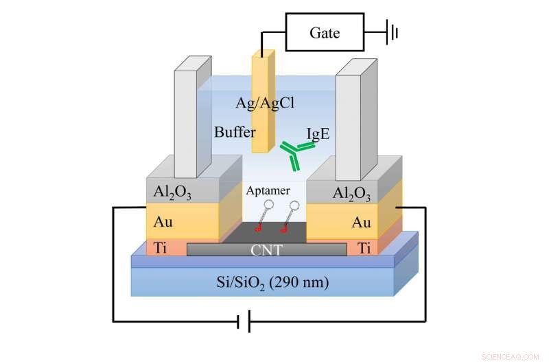 Unraveling the Complex Charge Patterns of Biomolecules