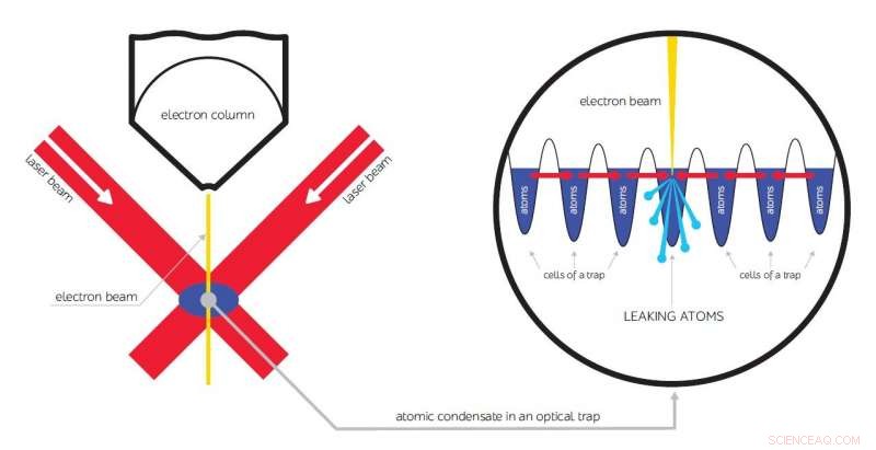 Researchers Pioneer First Anti-Laser for Ultracold Atom Condensates