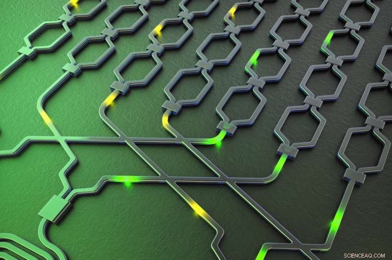Versatile Silicon Chip Engineered for Quantum Information Processing