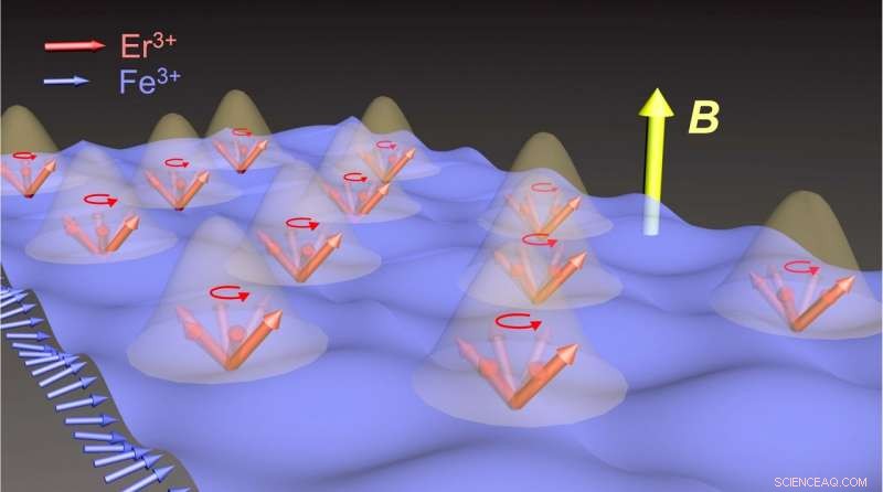 Groundbreaking Study Reveals Matter-Matter Coupling in Magnetic Crystal