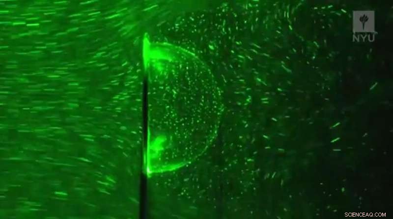 NYU Scientists Reveal the Physics of Bubble Formation