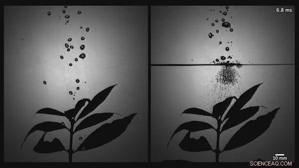 Innovative Technique Enhances Targeted Delivery of Sprayed Droplets