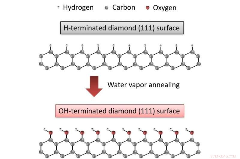 Advanced Water Vapor Annealing of Diamond Surfaces for Next-Gen Power Devices