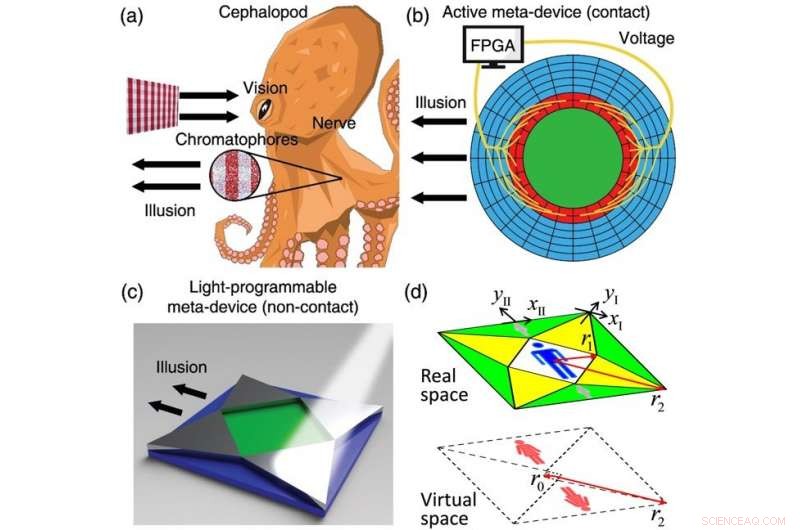 Programmable Light Guidance of Direct Current Fields in Laplacian Metadevices
