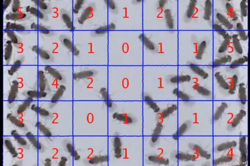 Using Physics to Predict Crowd Dynamics: From Electrons to Political Rallies