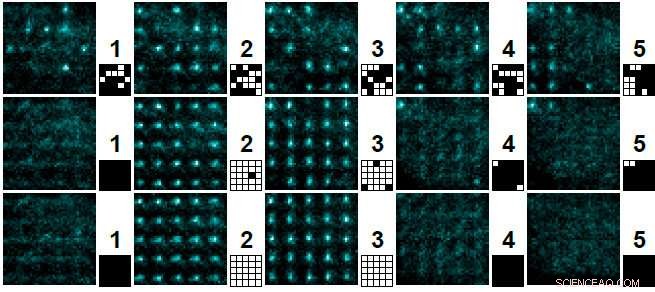 Physicists Successfully Realize Maxwell’s Demon Experiment to Reduce Entropy