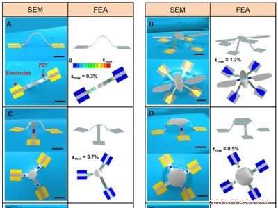 Advanced 3‑D Mesostructure Design Using Mechanically Active Materials
