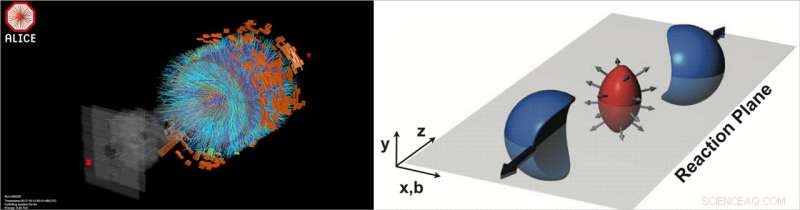 The Early Universe: A Fluid Quark‑Gluon Plasma Unveiled by Collider Experiments