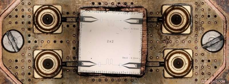 Ballistic Graphene Josephson Junctions Integrated into Superconducting Microwave Circuits
