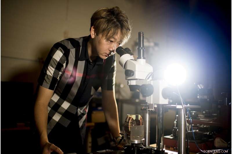 Northeastern Research Reveals Miniature Brain Antenna with Health Benefits