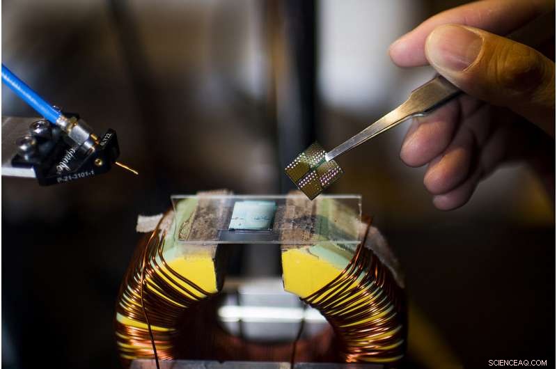 Northeastern Research Reveals Miniature Brain Antenna with Health Benefits