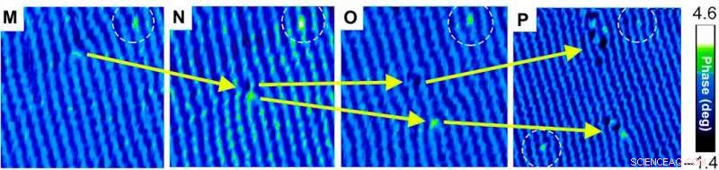 Superconductivity vs. Ferromagnetism: An Even Match