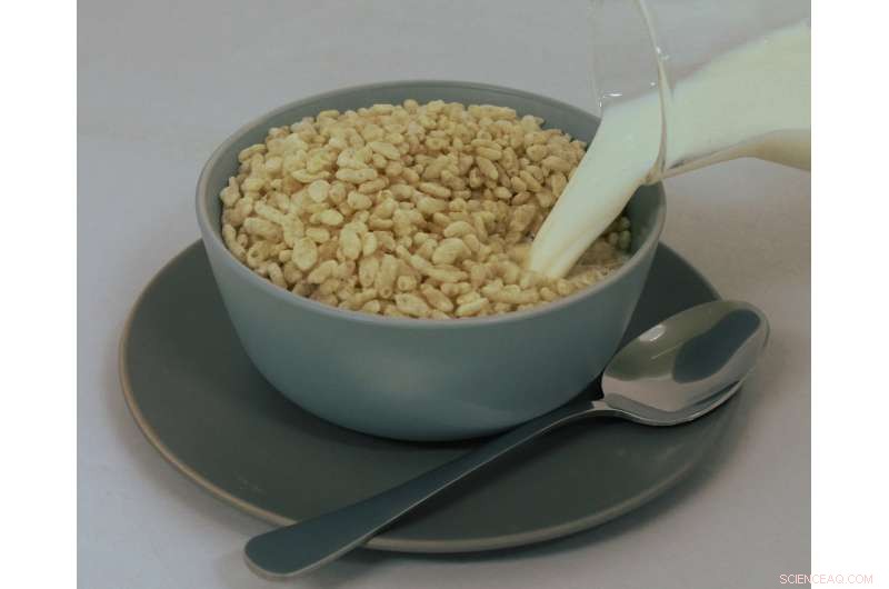 Puffed Rice as a Cost-Effective Model for Studying Ice Shelf Collapse and Rockfill Dam Failure