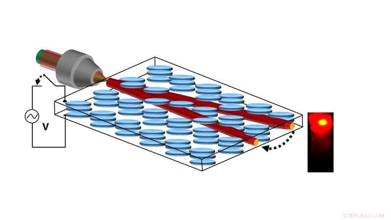 Researchers Demonstrate Precise Control of a Random Transistor Laser at the Nanoscale