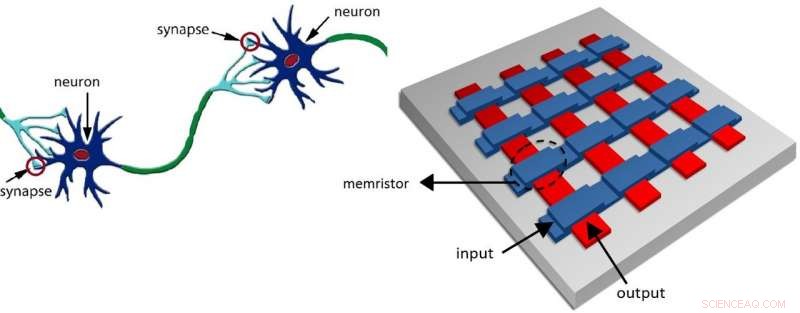 Exploring the Foundations of an Electronic Brain: Building Blocks and Architecture