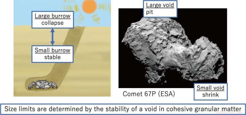 Scientists Discover a Fascinating Mechanical Connection Between Sand Crabs and Comets