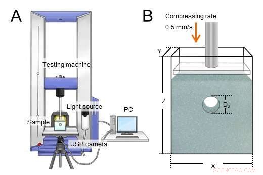 Scientists Discover a Fascinating Mechanical Connection Between Sand Crabs and Comets