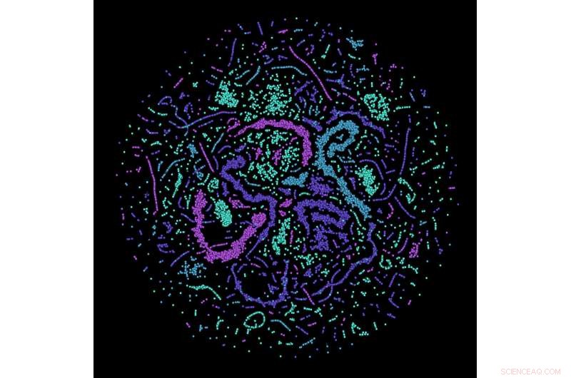 Neural Networks Learn Quantum Error-Correction Strategies