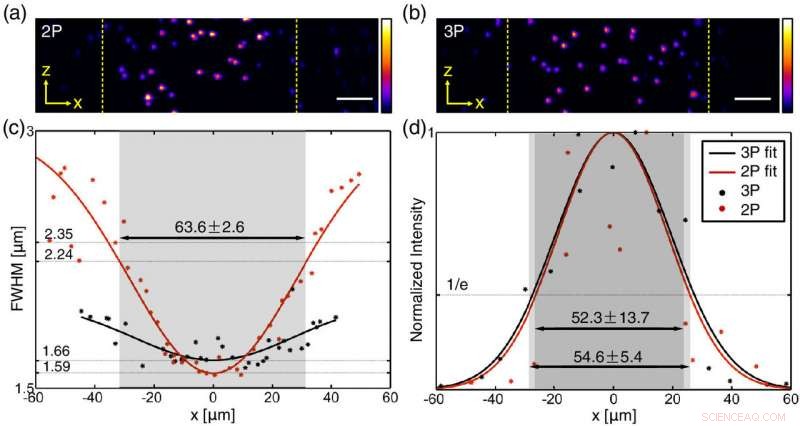 Advanced Microscopy Technique Enables Deeper Tissue Imaging in Biomedical Research