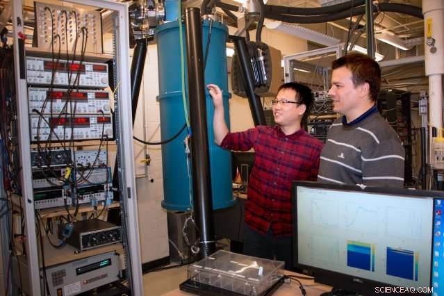 WTe2: The First 2D Material Acting as Both a Topological Insulator and Superconductor