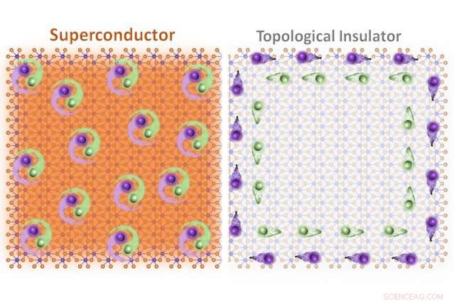 WTe2: The First 2D Material Acting as Both a Topological Insulator and Superconductor