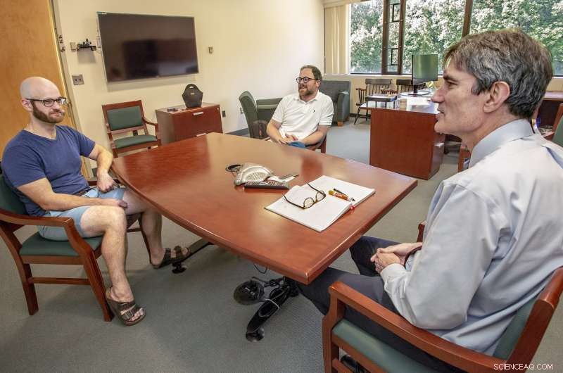 Amplifying Cosmic Magnetic Fields: How Tiny Plasma Oscillations Trigger Growth