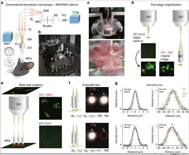 MATRIEX Imaging: Real-Time, Multi-Region Neural Activity Tracking Across the Brain