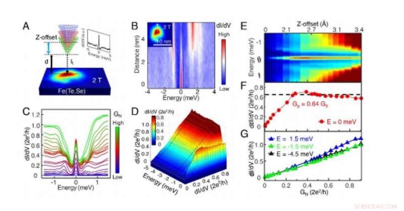 Nearly Quantized Conductance Plateau Revealed in Vortex Core of FeTe0.55Se0.45
