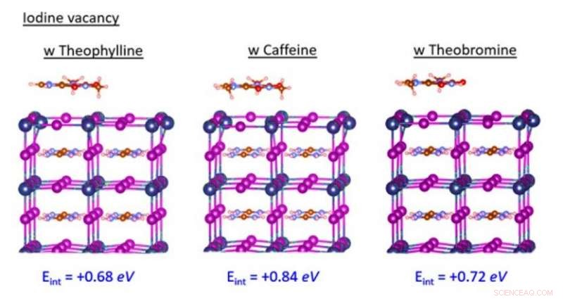 Optimizing Perovskite Solar Cells: Advanced Molecular Passivation for Surface Defects