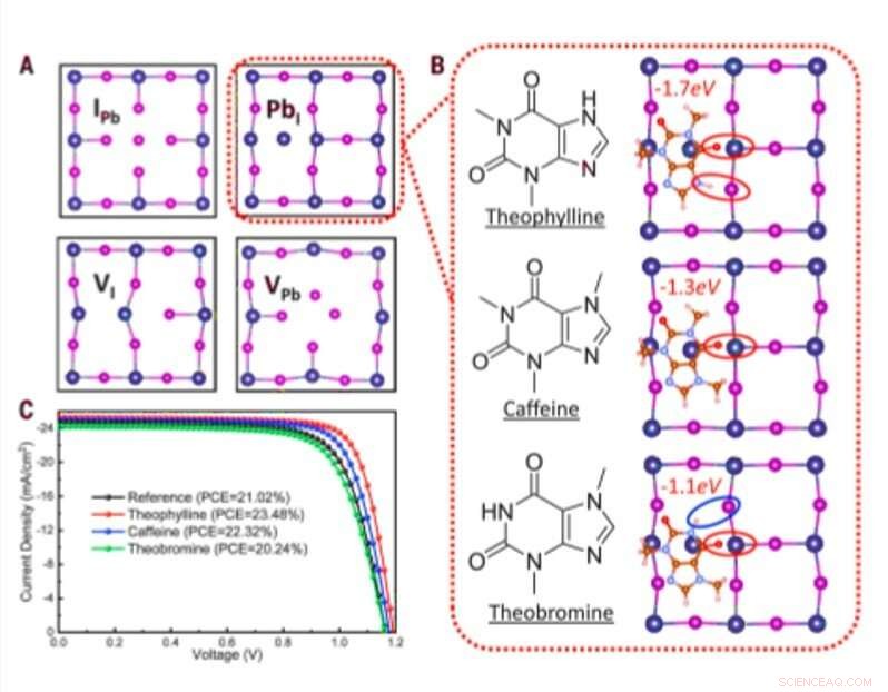 Optimizing Perovskite Solar Cells: Advanced Molecular Passivation for Surface Defects