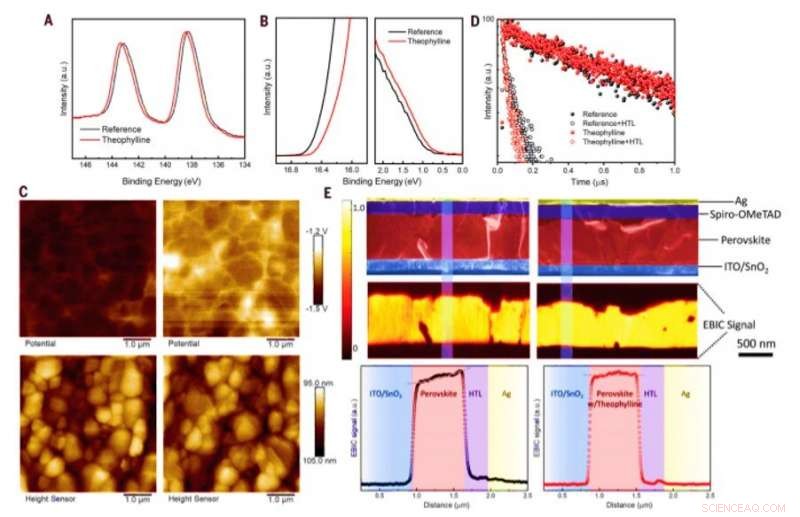 Optimizing Perovskite Solar Cells: Advanced Molecular Passivation for Surface Defects