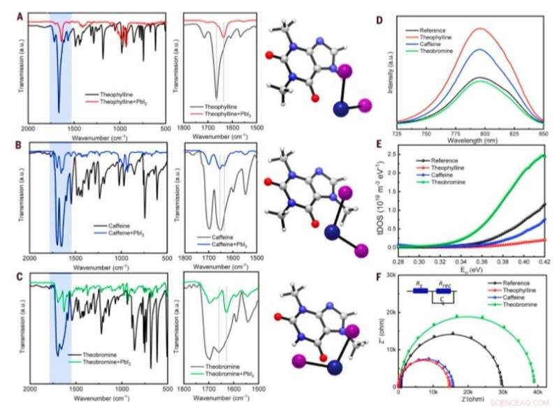 Optimizing Perovskite Solar Cells: Advanced Molecular Passivation for Surface Defects