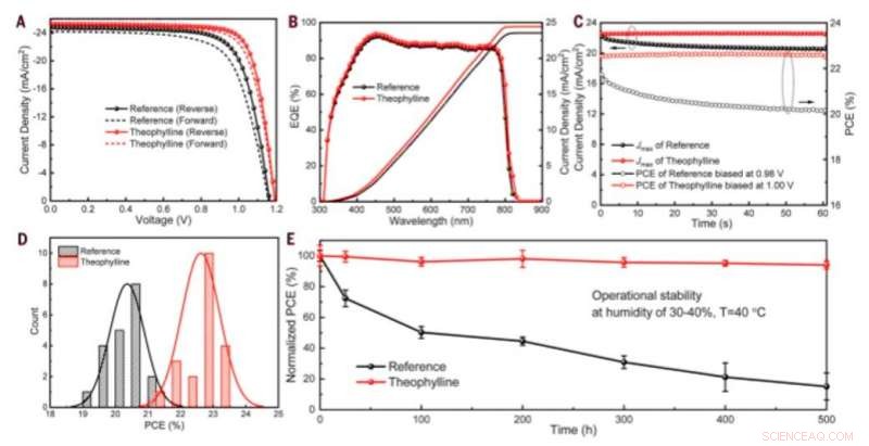 Optimizing Perovskite Solar Cells: Advanced Molecular Passivation for Surface Defects