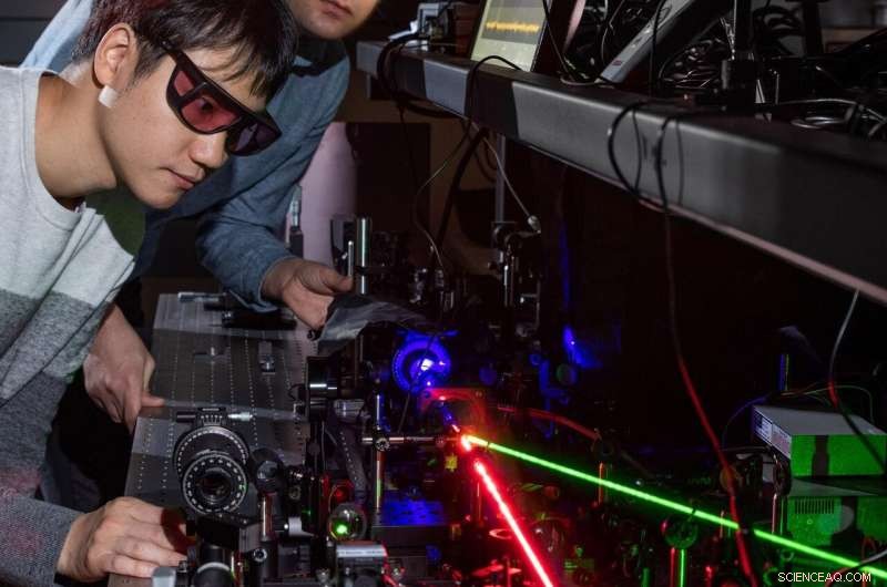 Laser Pulse Enables Frequency Doubling in Amorphous Dielectrics
