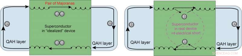 Unveiling the Majorana Mystery: Why the Angel Particle Remains Elusive