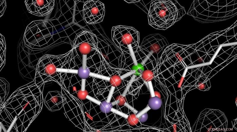 Scientists Capture Unprecedented High-Resolution Atomic Movie of Photosynthesis